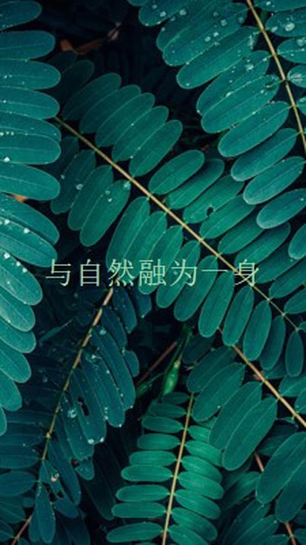 与自然融为一身 green modern-simple