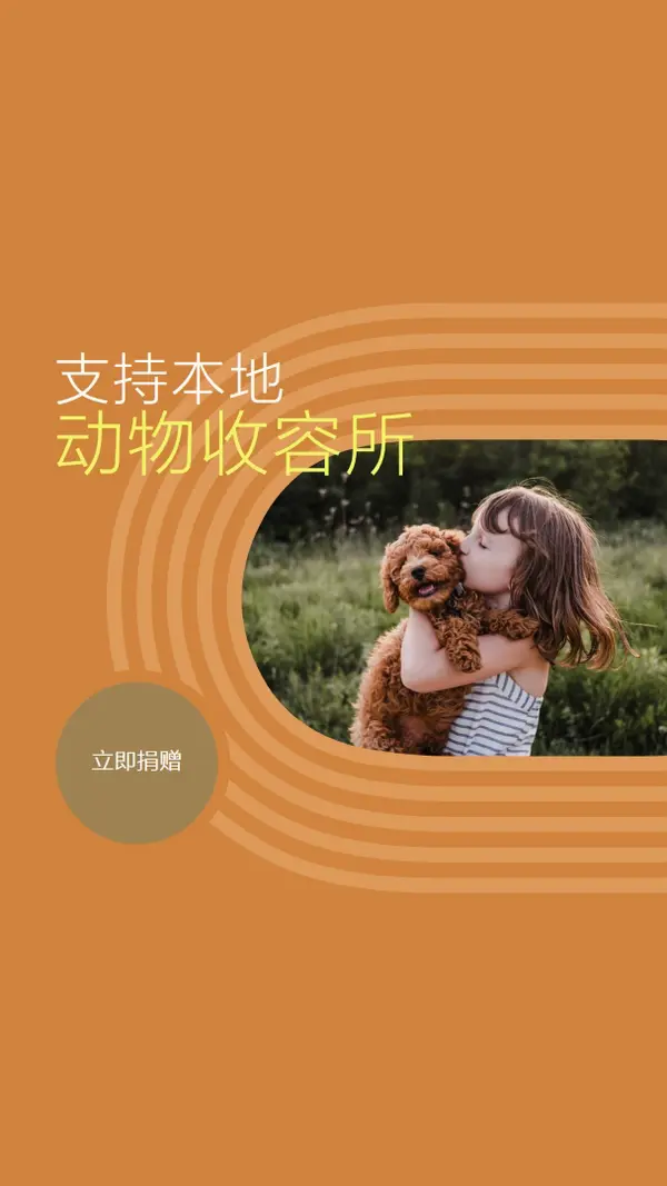 避难所帮助者 orange whimsical-color-block