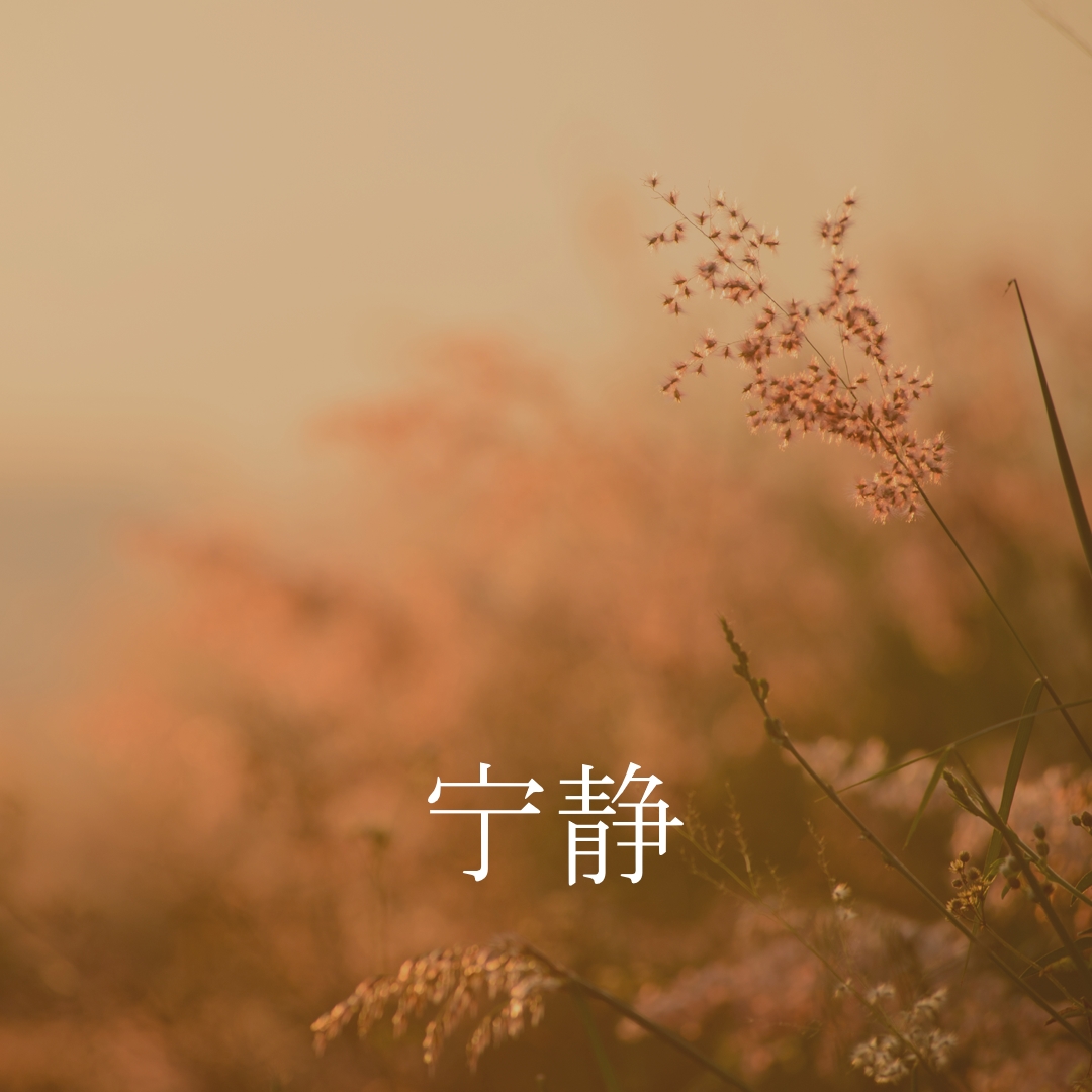 宁静的领域 brown modern,minimal,nature,quiet,soft,plants