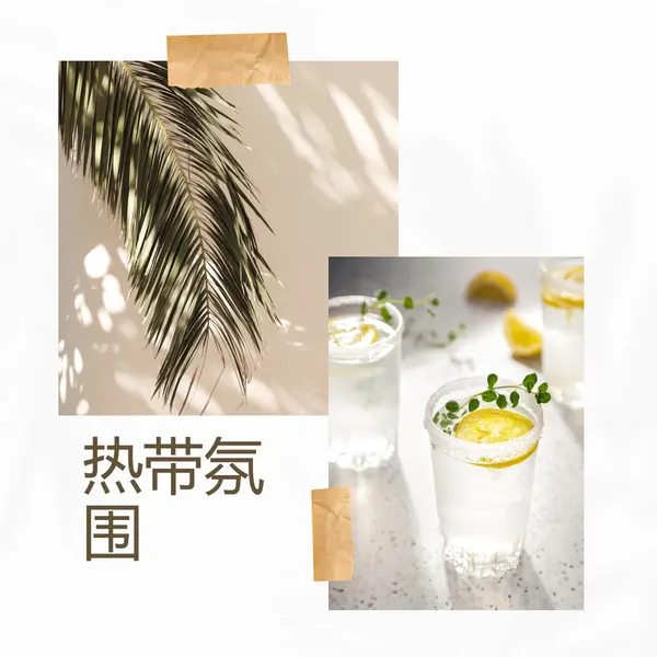 热带鸡尾酒氛围 white photographic,collage,minimal,scrapbook,handwriting,botanical,