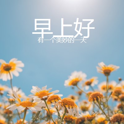 有一个美妙的一天 blue modern,simple,photography,flowers,birght,fresh