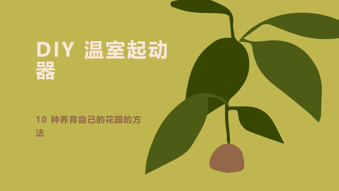 养自己的花园 green modern-color-block