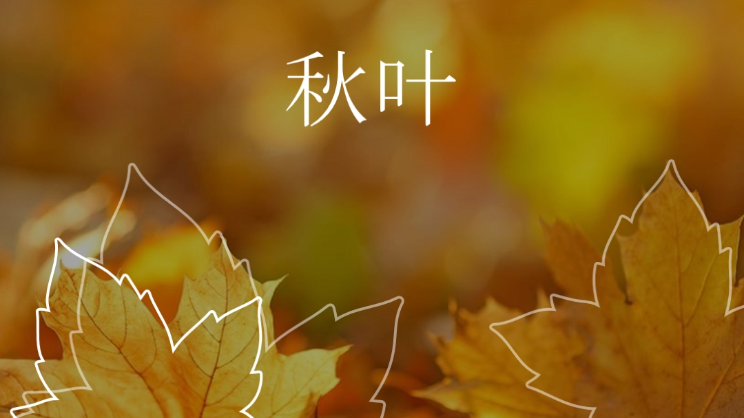 秋叶 orange organic-simple