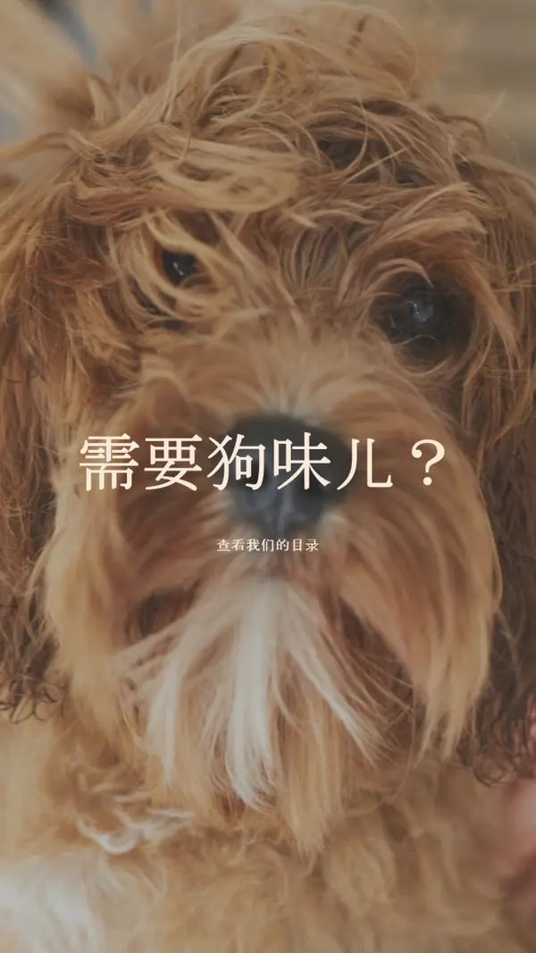 从粗到蓬松 brown modern-simple