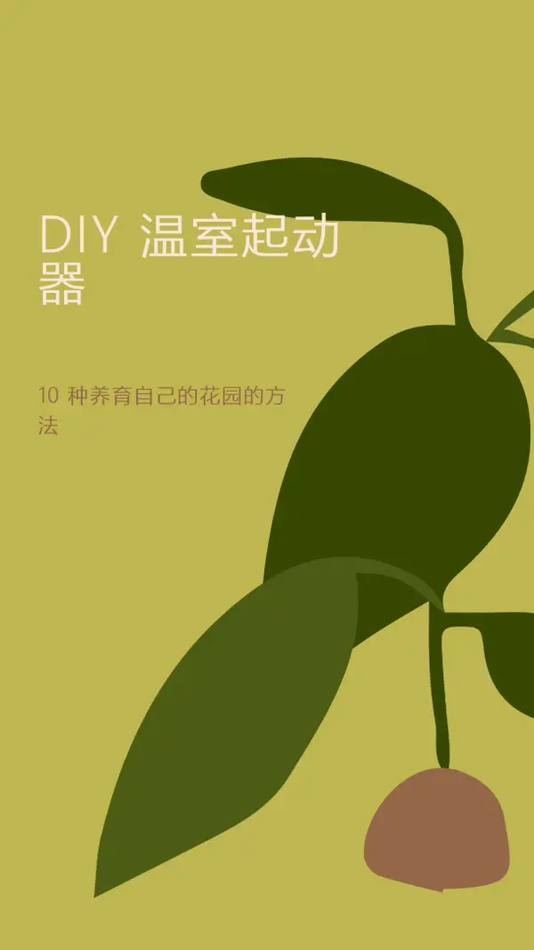 养自己的花园 green modern-color-block