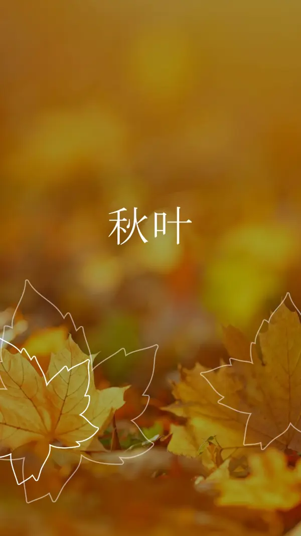秋叶 orange organic-simple