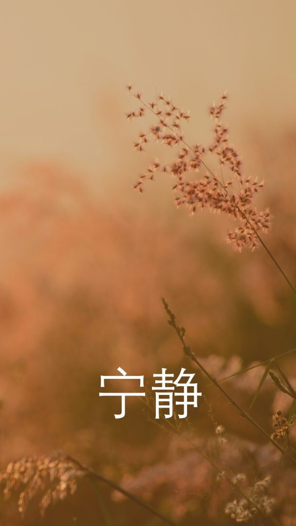 宁静的领域 brown modern,minimal,nature,quiet,soft,plants
