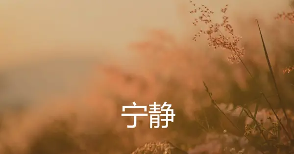 宁静的领域 brown modern,minimal,nature,quiet,soft,plants