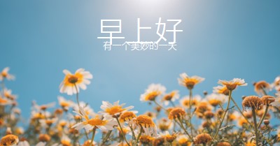 有一个美妙的一天 blue modern,simple,photography,flowers,birght,fresh