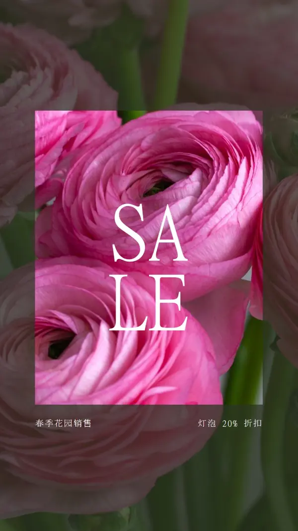 春天的花园 pink modern-simple