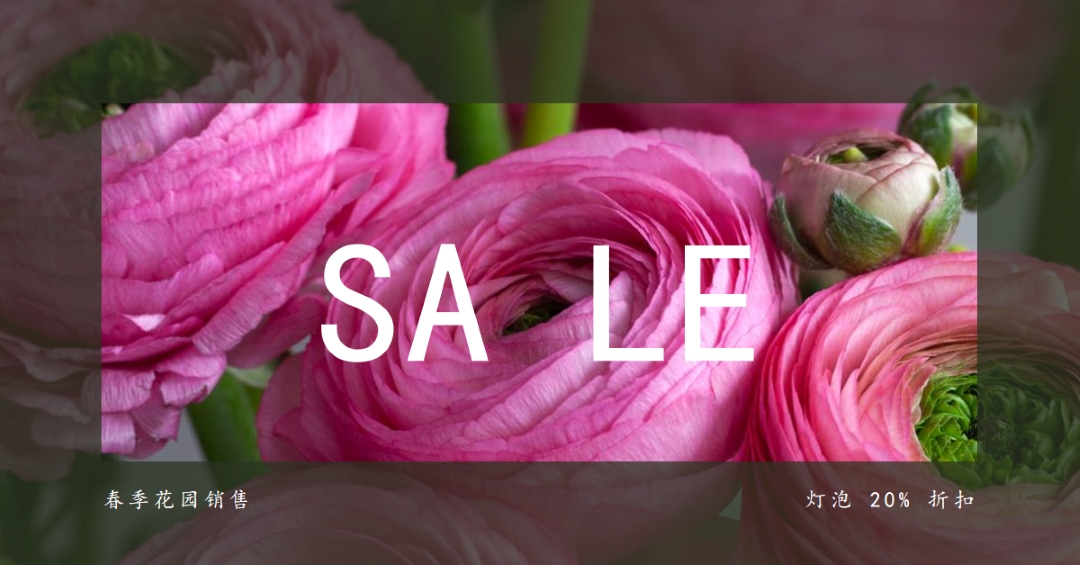 春天的花园 pink modern-simple