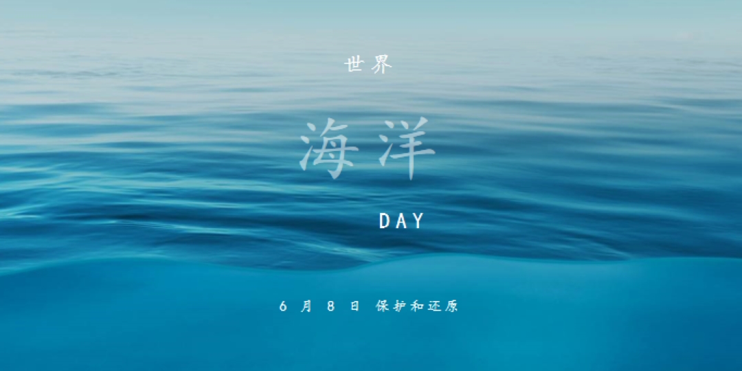 变咸 blue modern-simple