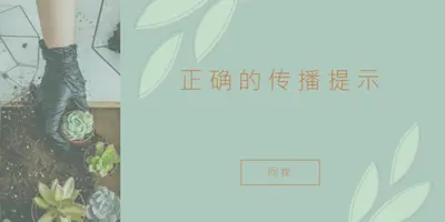 简单多汁 green organic-simple