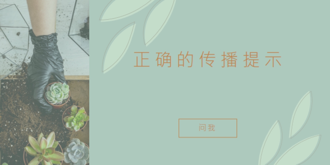 简单多汁 green organic-simple