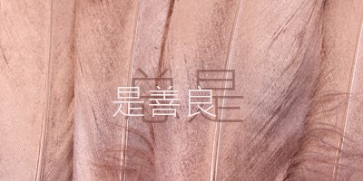 友好结构 pink modern-simple