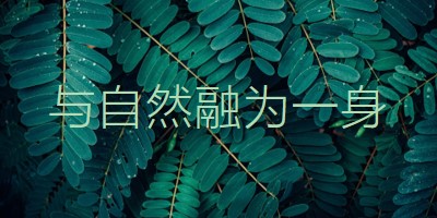 与自然融为一身 green modern-simple