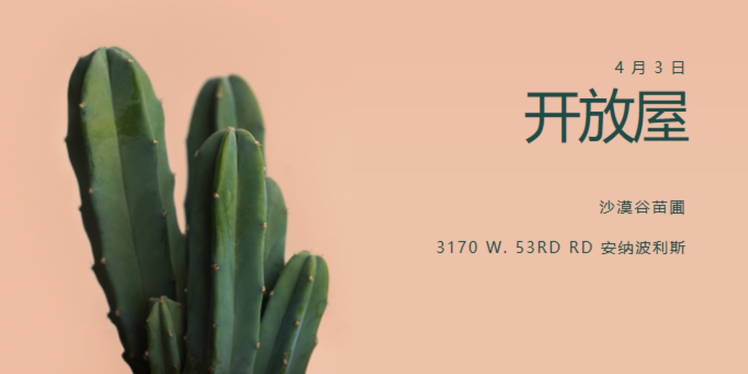 4 月 3 日开放 pink modern-simple