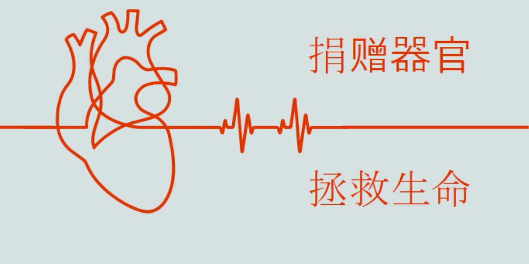 成为器官捐赠者 blue whimsical-line
