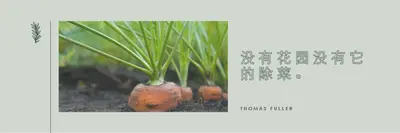 深根 green modern-simple