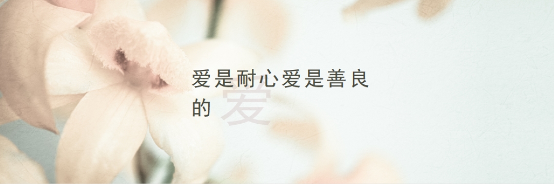 爱情笔记 white modern-simple