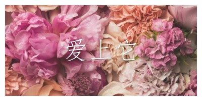 花情 pink modern-simple