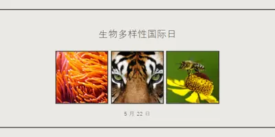 振兴自然 gray modern-simple