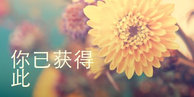 繁荣的花瓣 yellow modern-simple