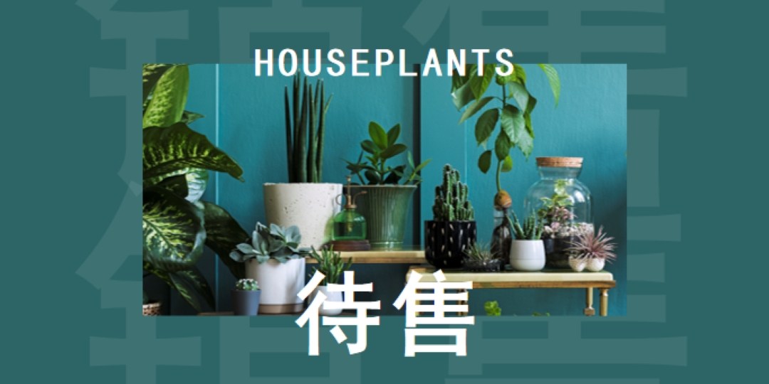 工厂功率 green modern-bold