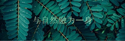 与自然融为一身 green modern-simple