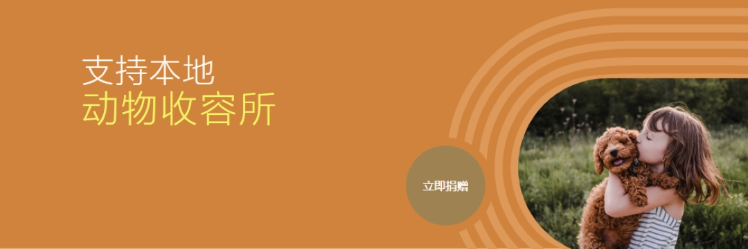 避难所帮助者 orange whimsical-color-block