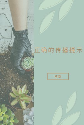 简单多汁 green organic-simple