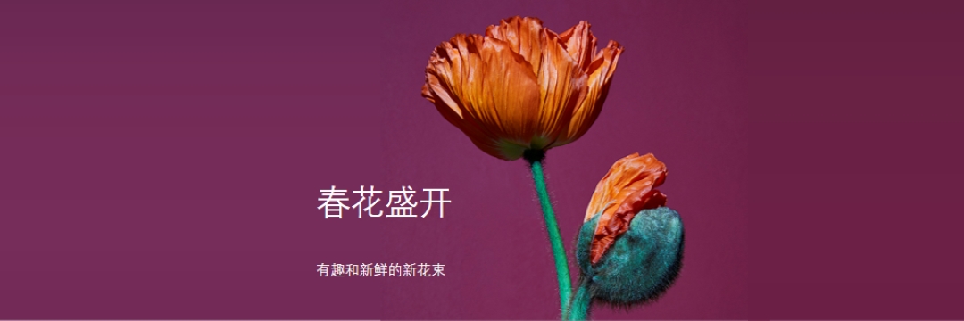 鲜花 purple modern-simple