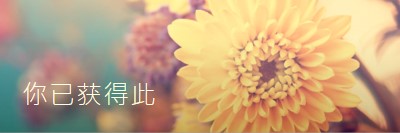 繁荣的花瓣 yellow modern-simple