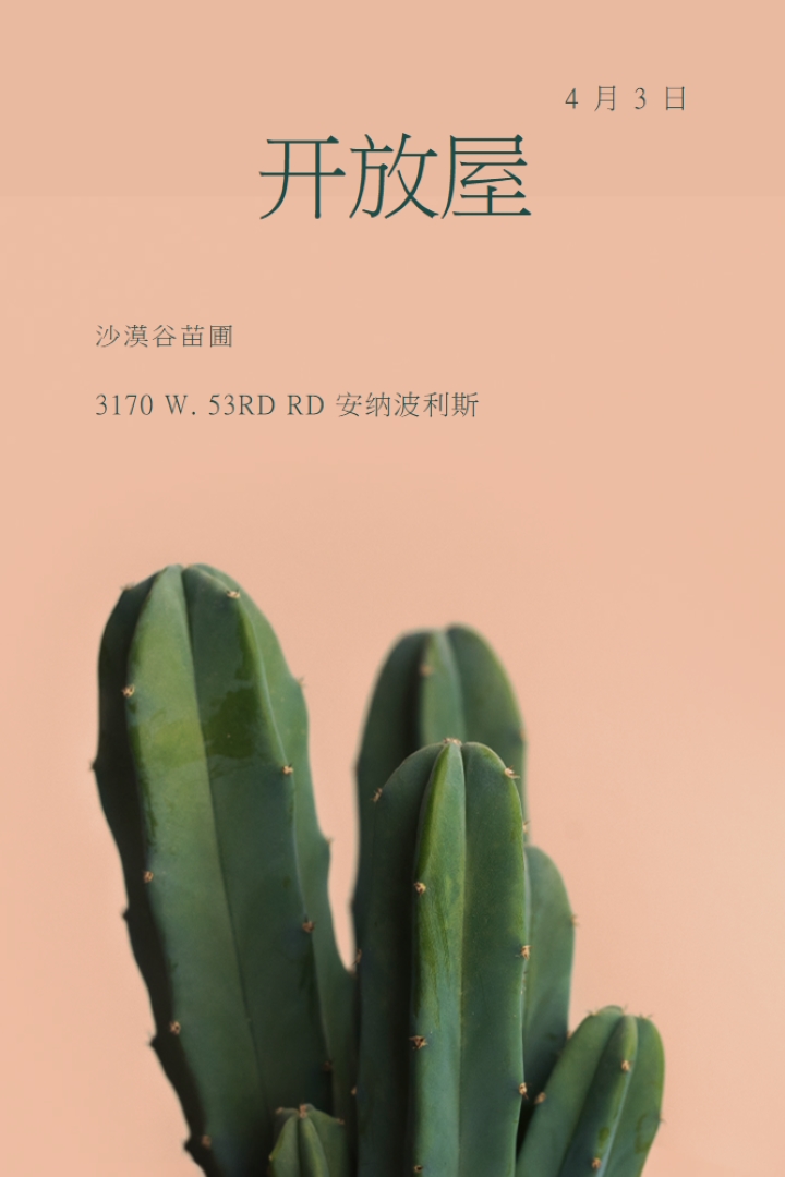 4 月 3 日开放 pink modern-simple