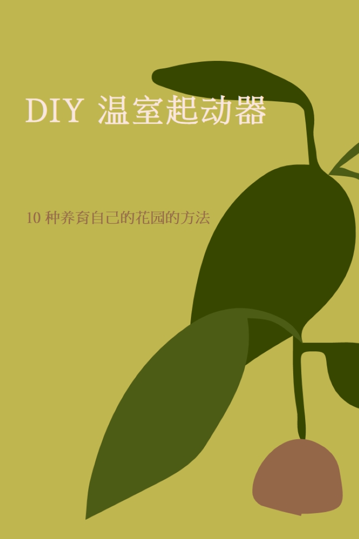 养自己的花园 green modern-color-block