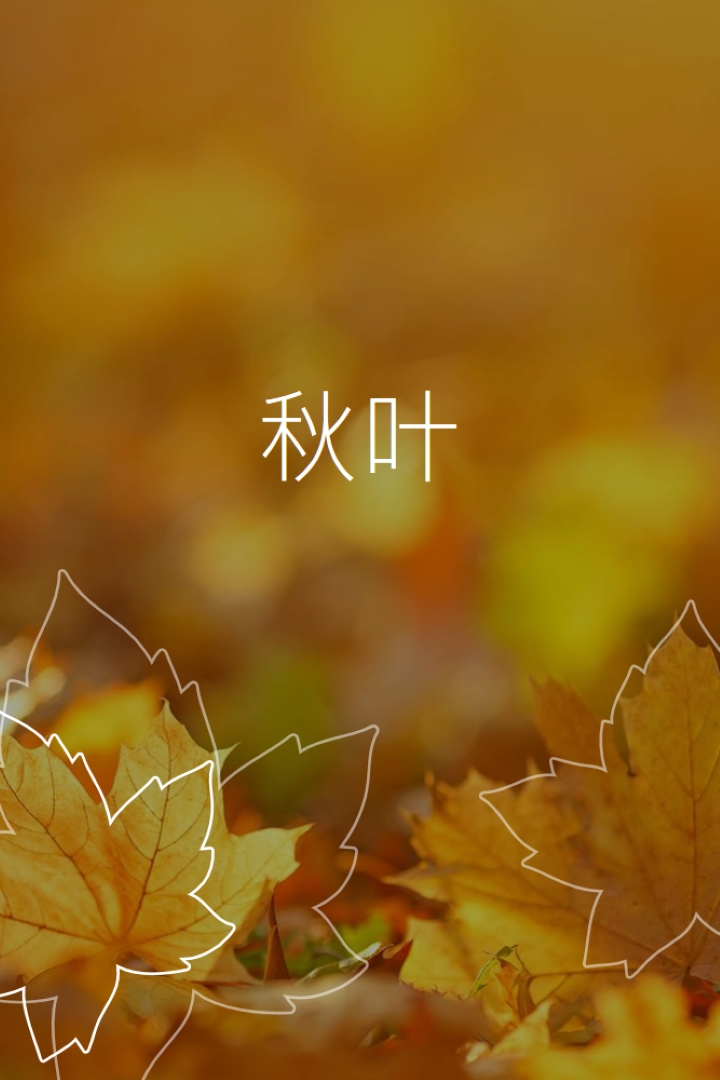 秋叶 orange organic-simple
