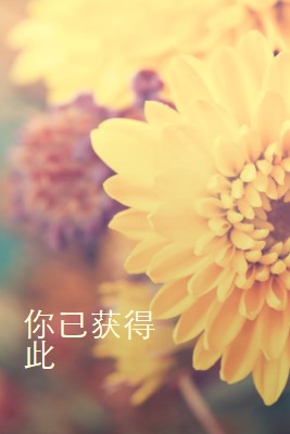 繁荣的花瓣 yellow modern-simple