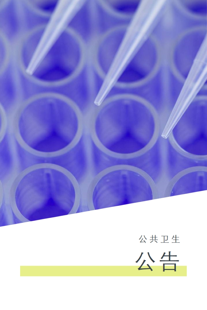 公设辩护人 white modern-bold