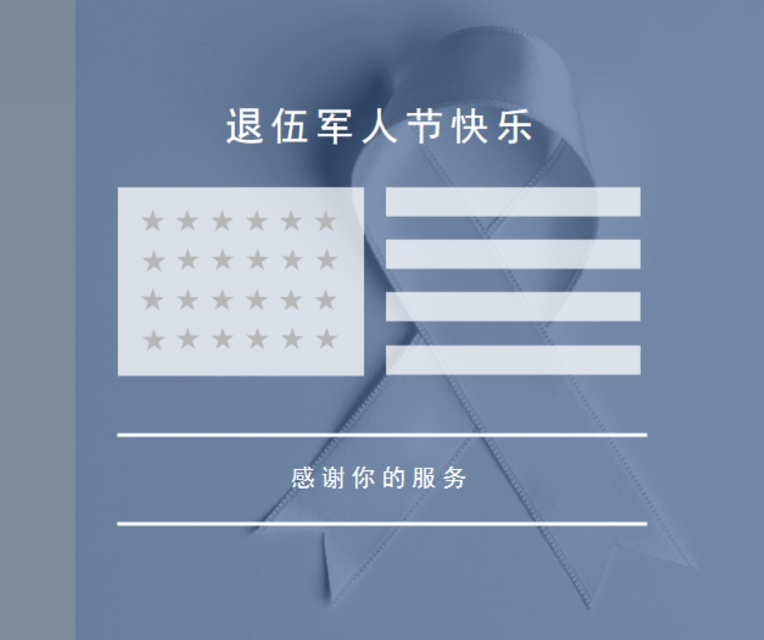 向美国老兵致敬 gray modern-simple