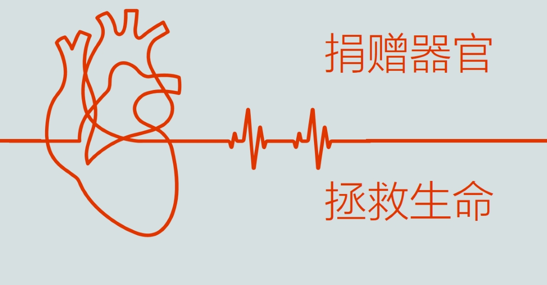 成为器官捐赠者 blue whimsical-line
