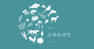 庆祝世界生物多样性日 blue modern-simple