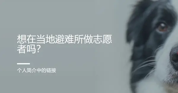 志愿者和带来欢呼 blue modern-simple