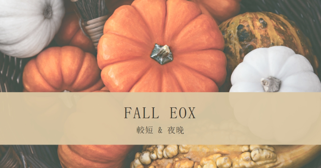 慶祝倒倒 eox orange modern-simple
