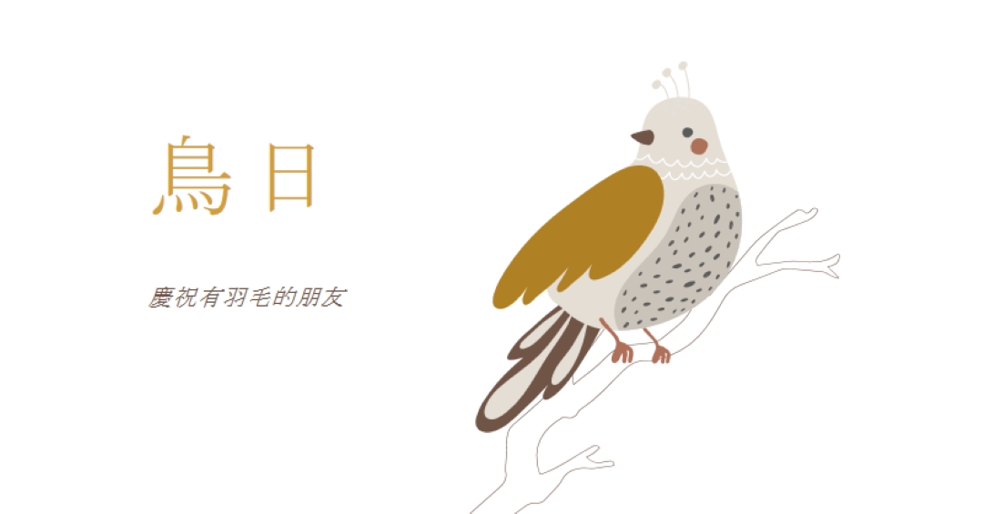 Sky 的限制 white whimsical-line