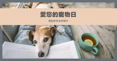 您的最佳夥伴 gray modern-simple