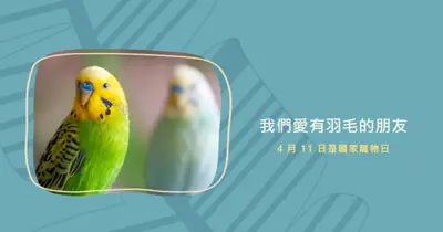羽毛在一起 blue organic-simple