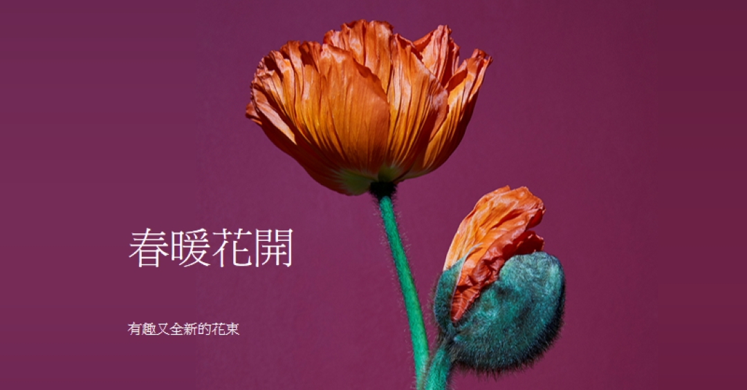 鮮花 purple modern-simple