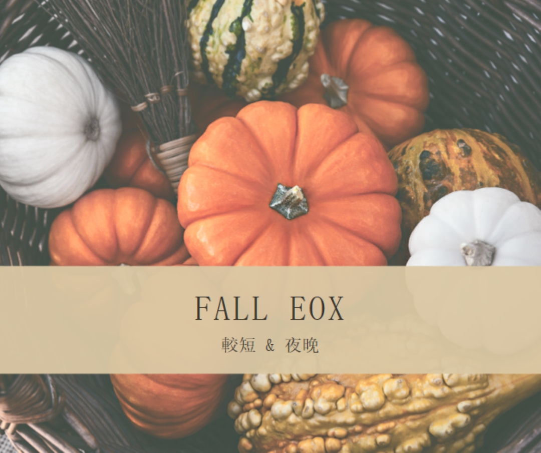 慶祝倒倒 eox orange modern-simple