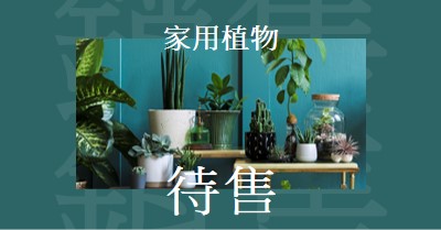 植物電源 green modern-bold