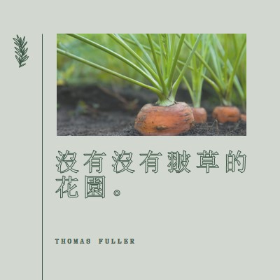 深根 green modern-simple
